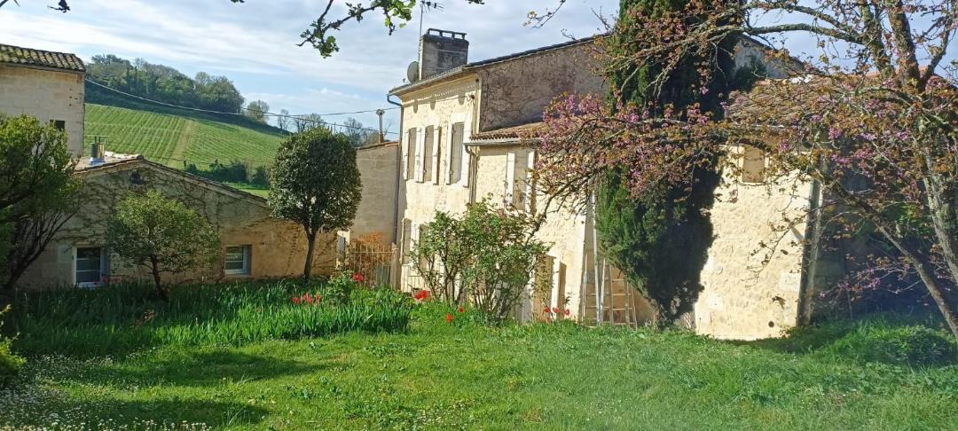 Photo of Others in Saint-Michel-de-Fronsac