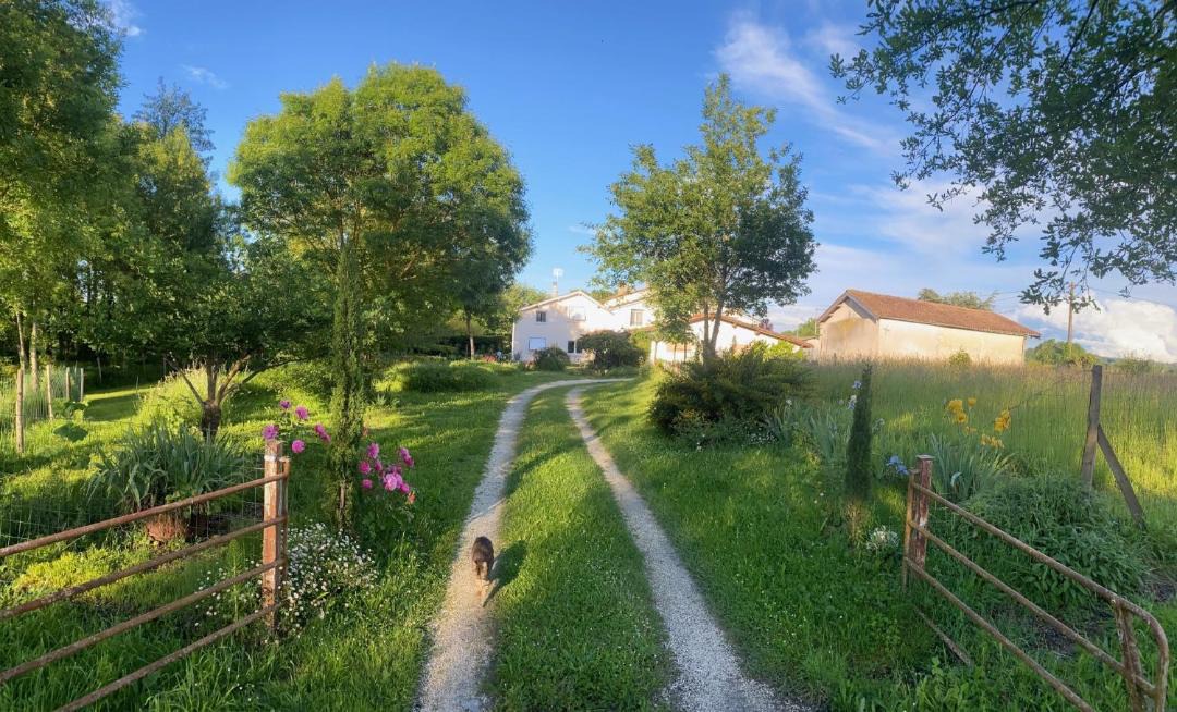 Photo of Others in Saint-Antoine-Cumond