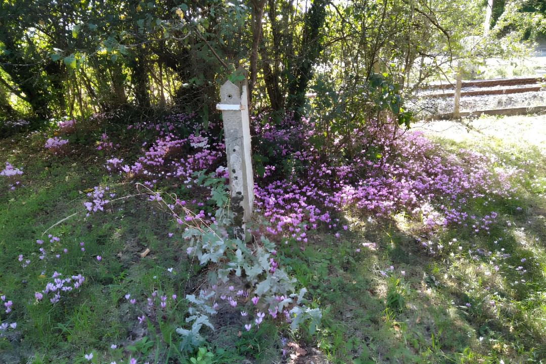 Photo of Outdoor in Lathus-Saint-Remy