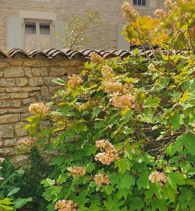 Photo of Others in Verteuil-sur-Charente