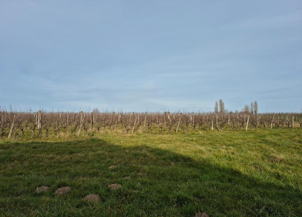 Photo of Others in Monbazillac