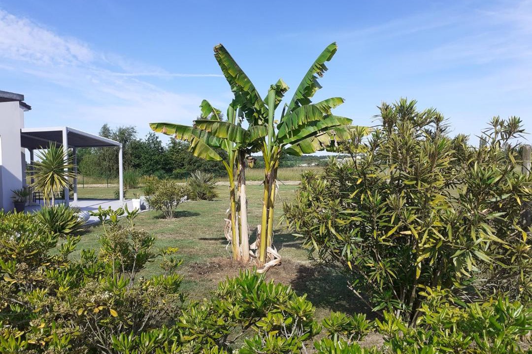 Photo of Outdoor in Saint-Augustin