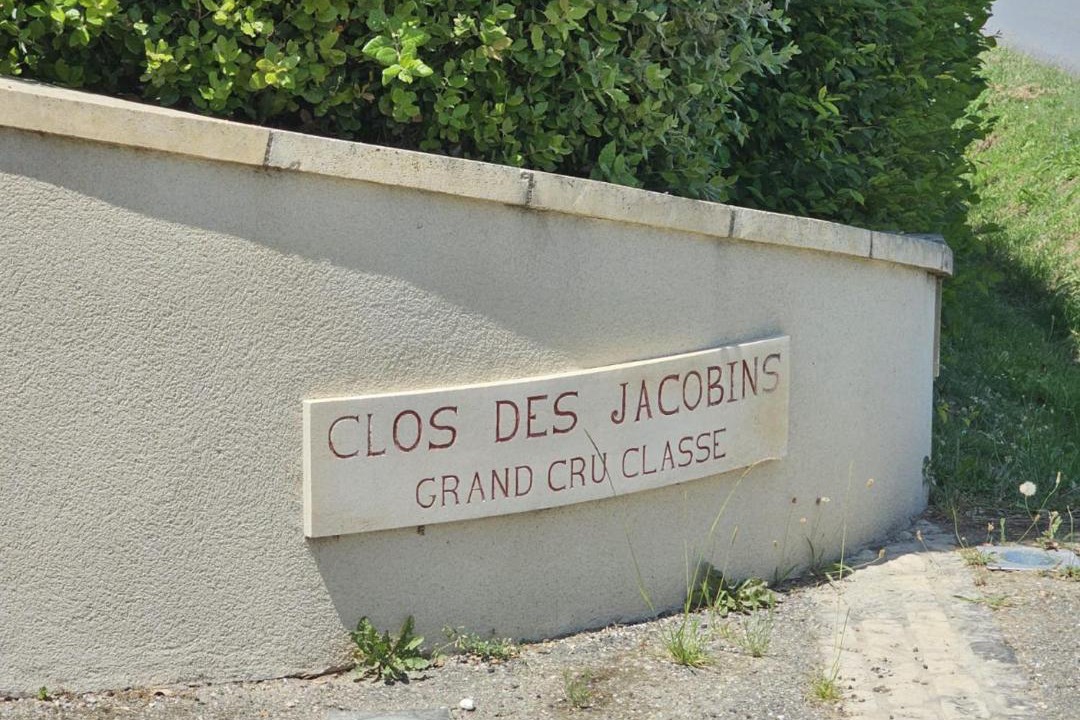 Photo of Others in Saint-Emilion