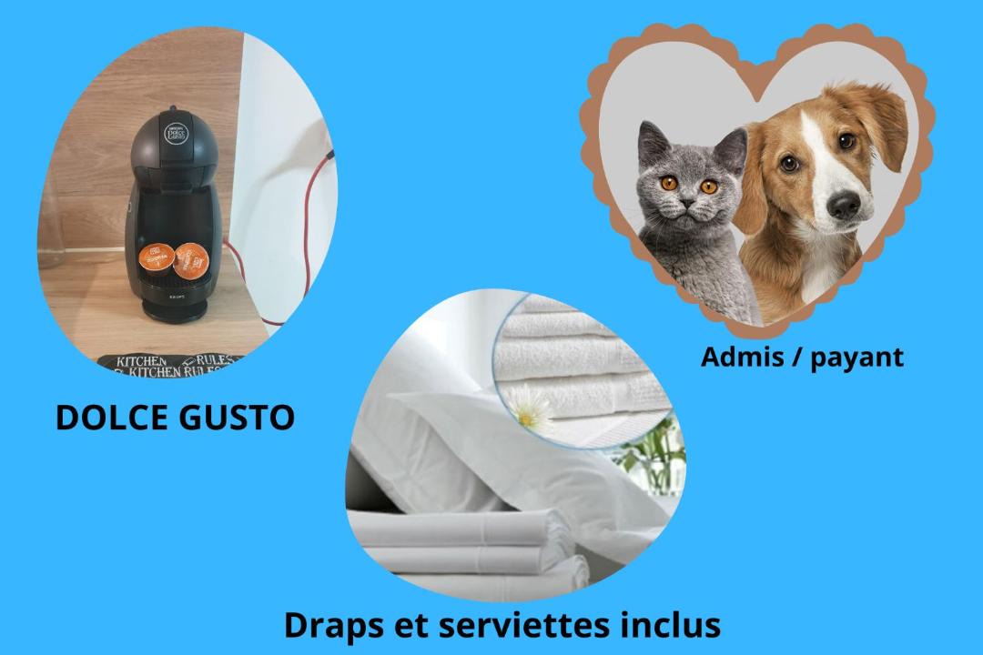 Photo of Others in Vouneuil-sous-Biard