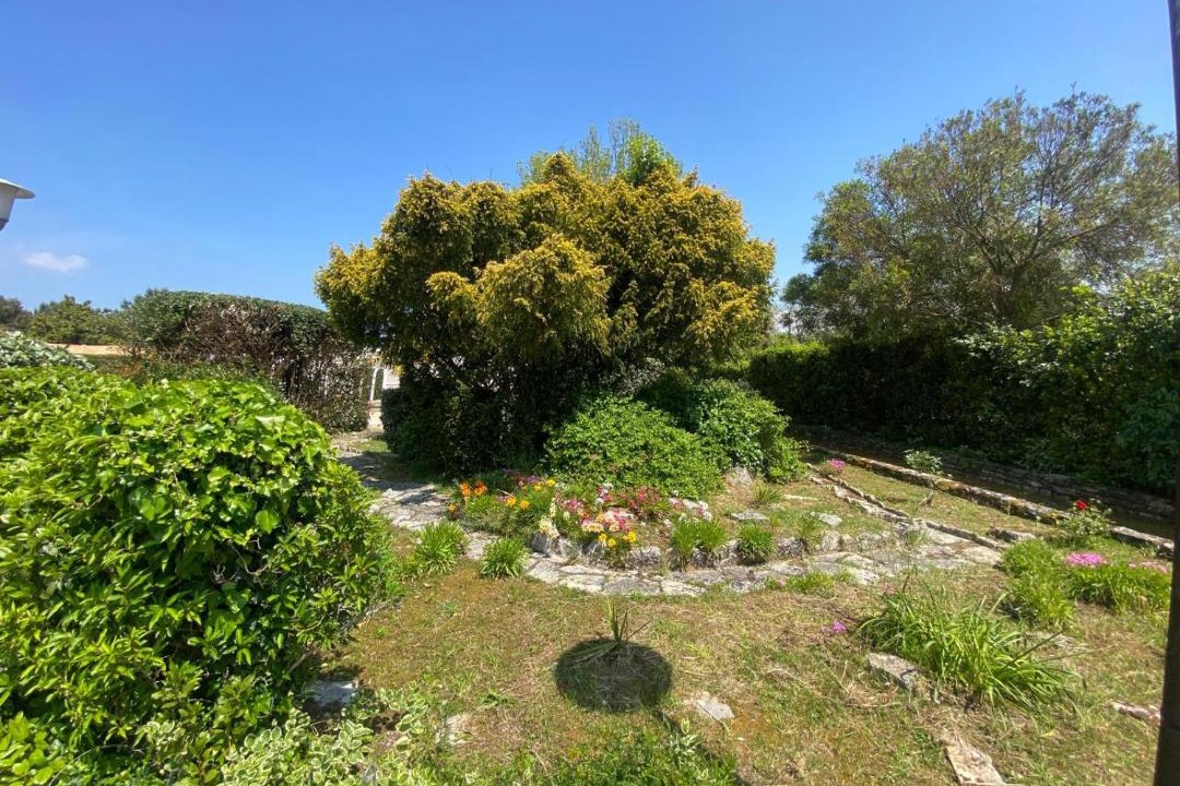 Photo of Others in Dolus-d'Oleron