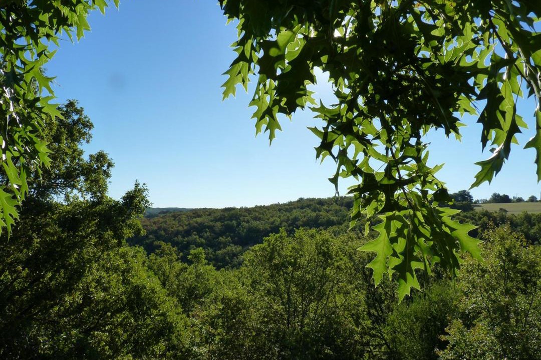 Photo of Others in Salignac-Eyvignes