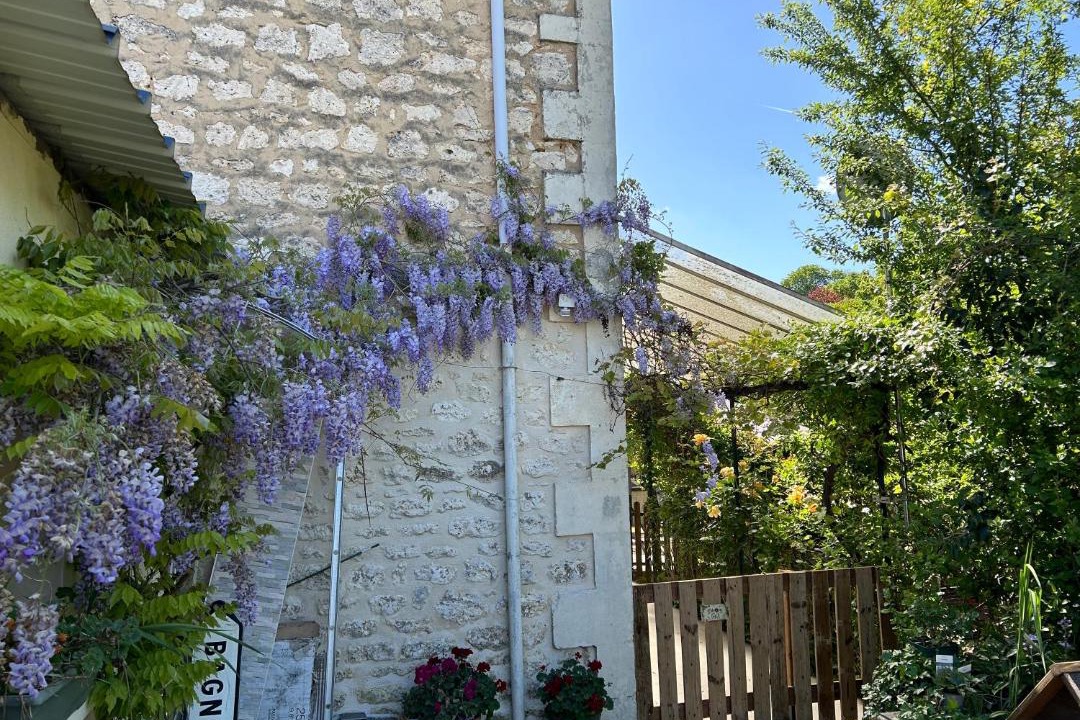 Photo of Others in Angouleme