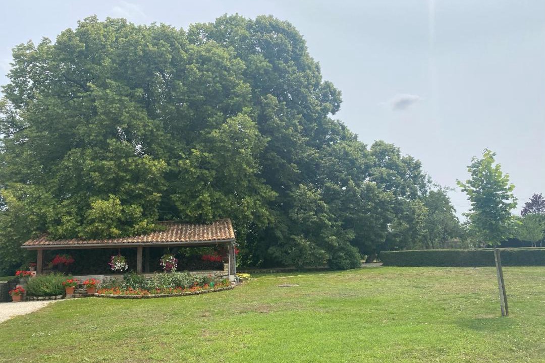 Photo of Others in Pas-de-Jeu