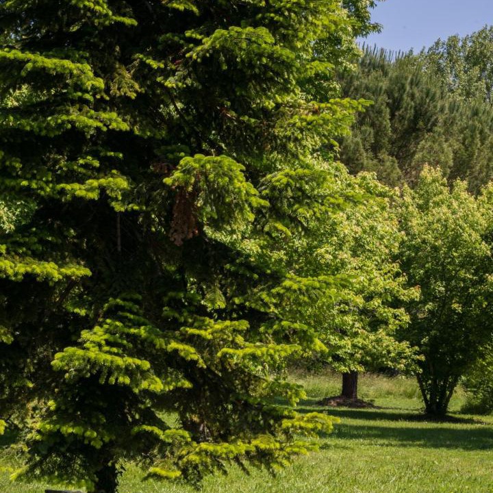 Photo of Others in Issigeac