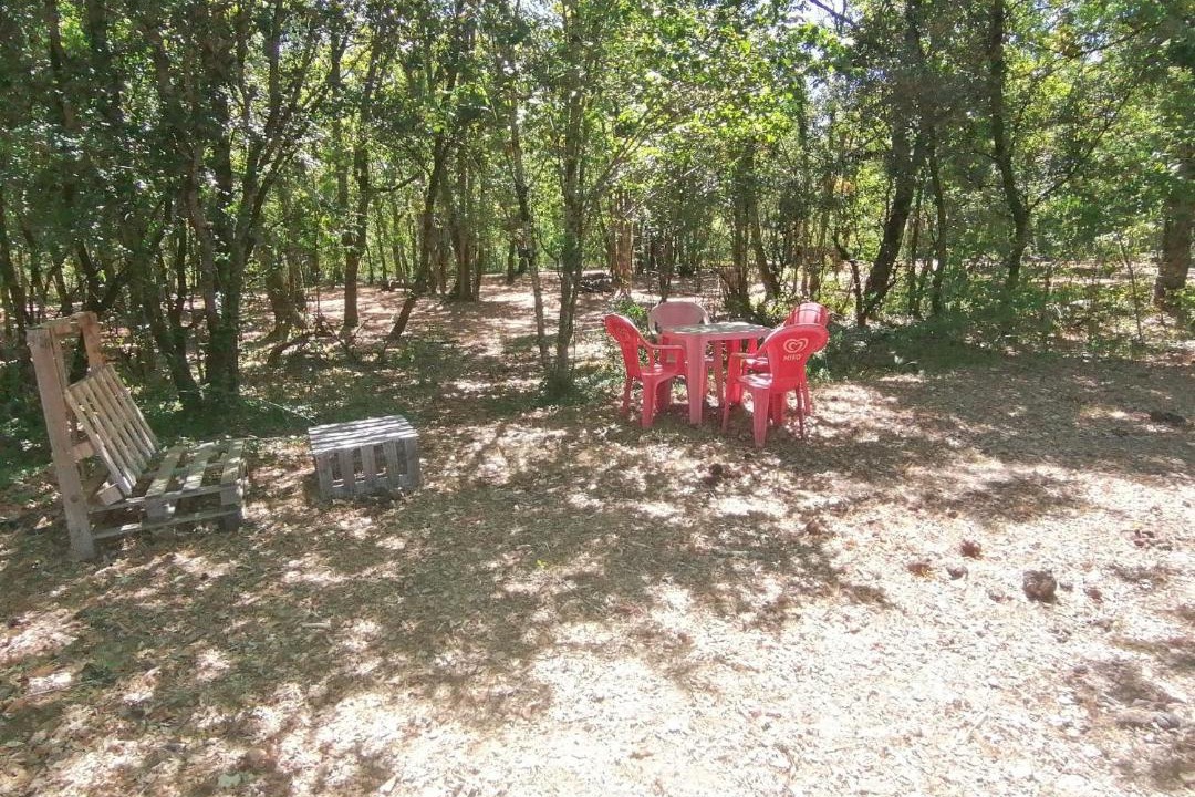 Photo of Others in Saint-Aubin-de-Nabirat