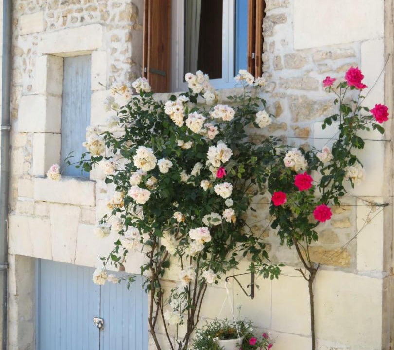 Photo of Others in Bourg-Charente