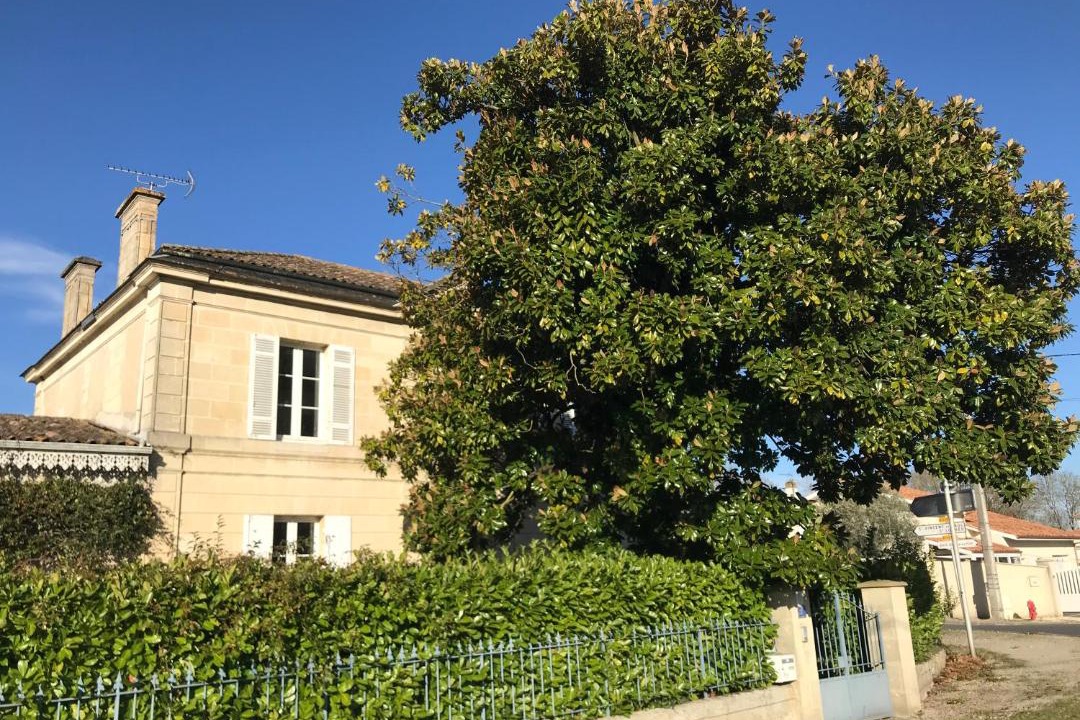 Photo of Others in Saint-Loubes