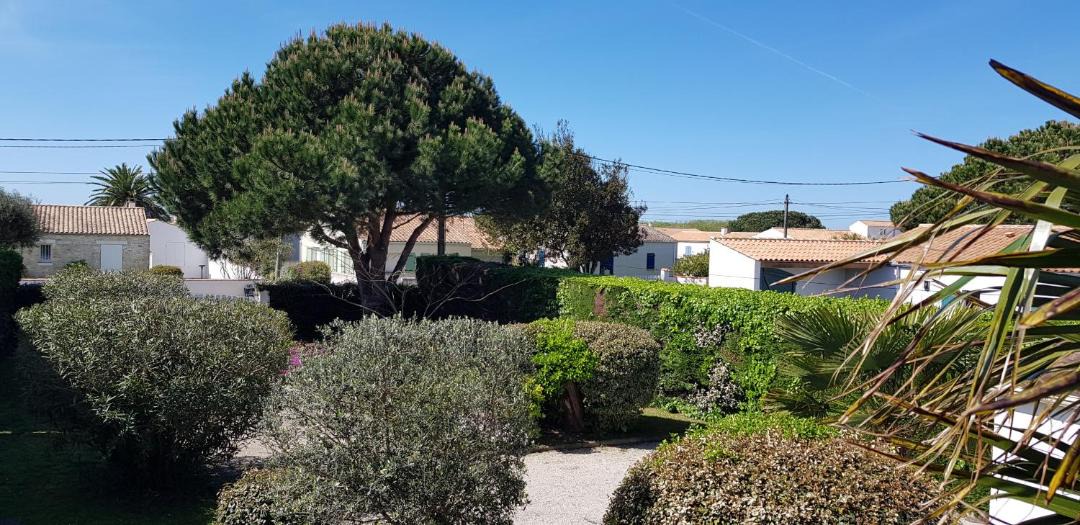 Photo of Others in Saint-Denis-d'Oleron