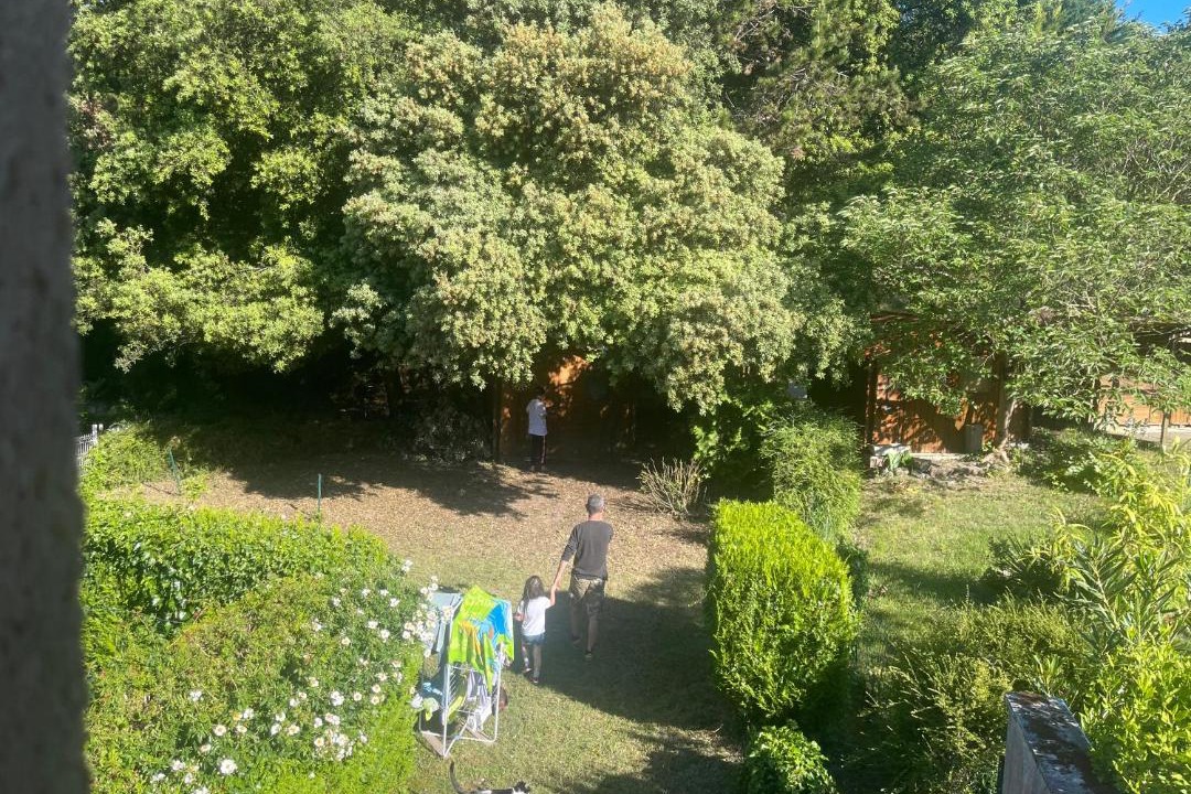 Photo of Others in Meschers-sur-Gironde