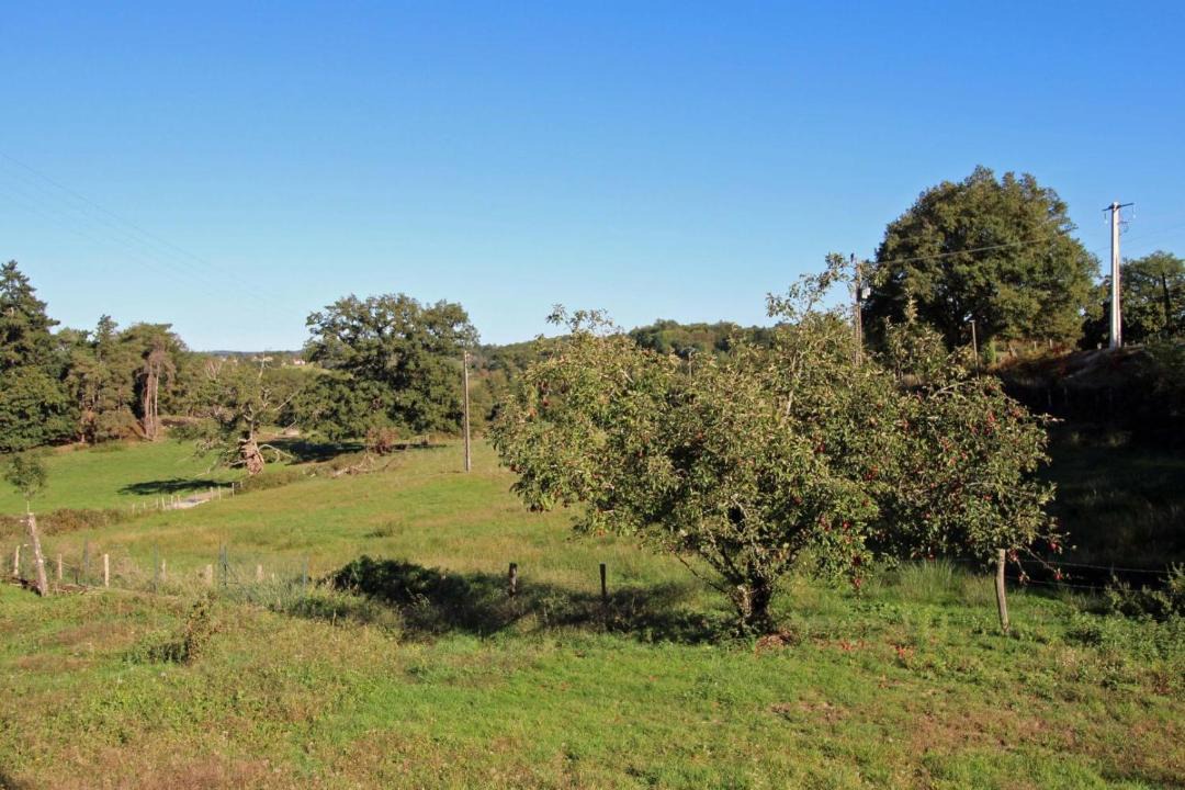 Photo of Outdoor in Saint-Sornin-Leulac