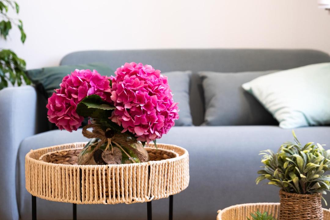 Photo of Livingroom in Montagne