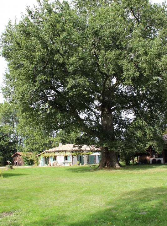 Photo of Buildings in Luglon