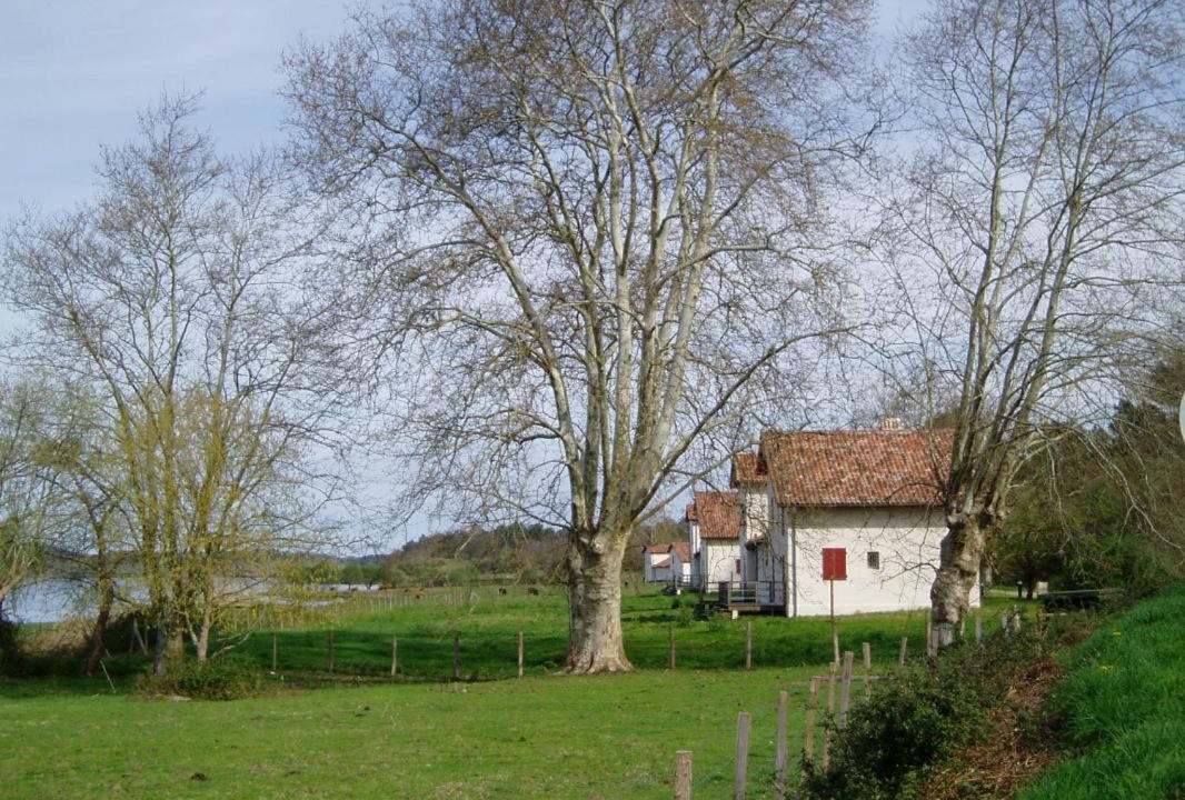 Photo of Buildings in Orx