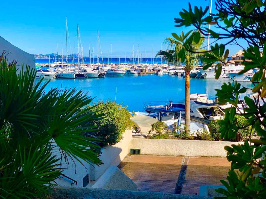 Photo of Outdoor in Port Cogolin