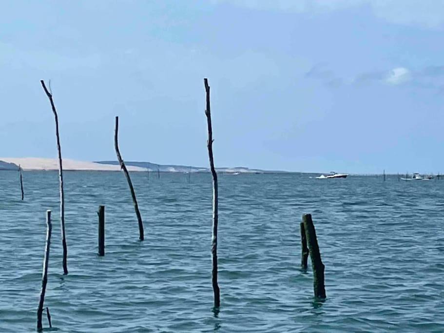Photo of Others in Le Porge