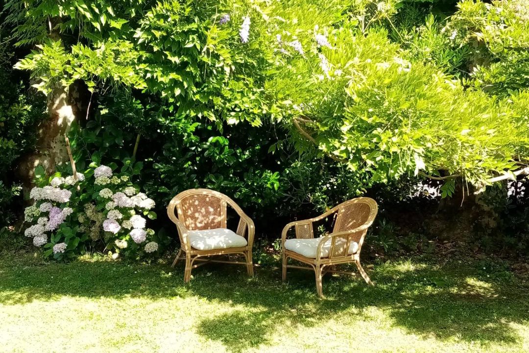 Photo of Others in Saint-Andre-de-Seignanx