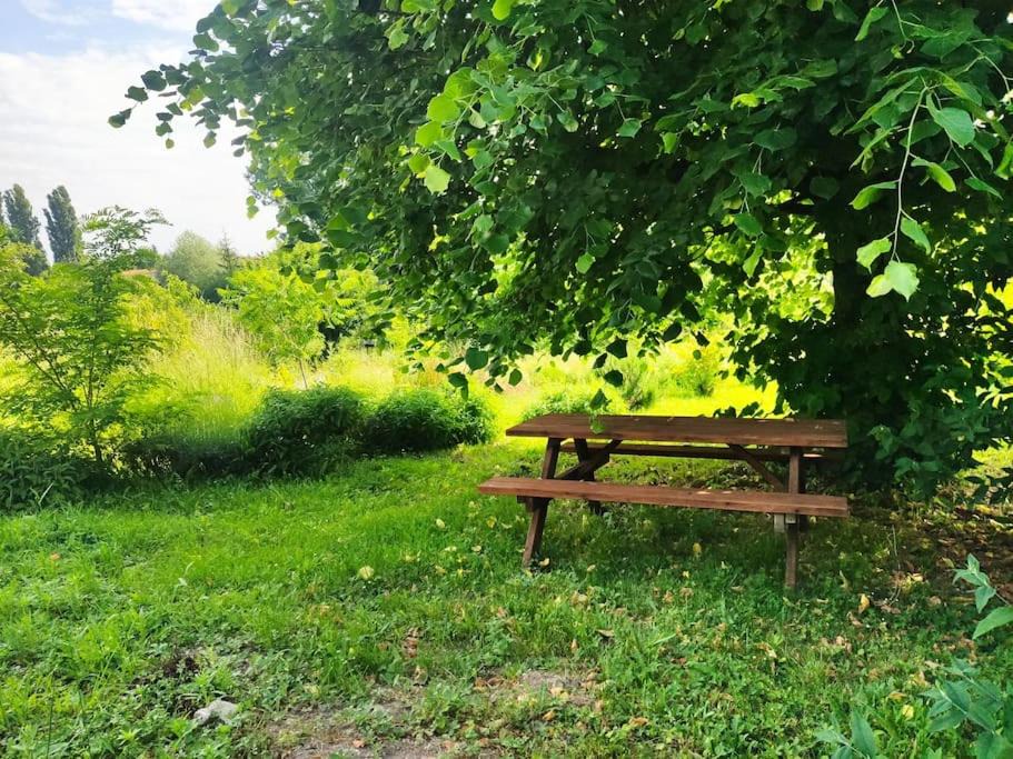 Photo of Others in Ronsenac