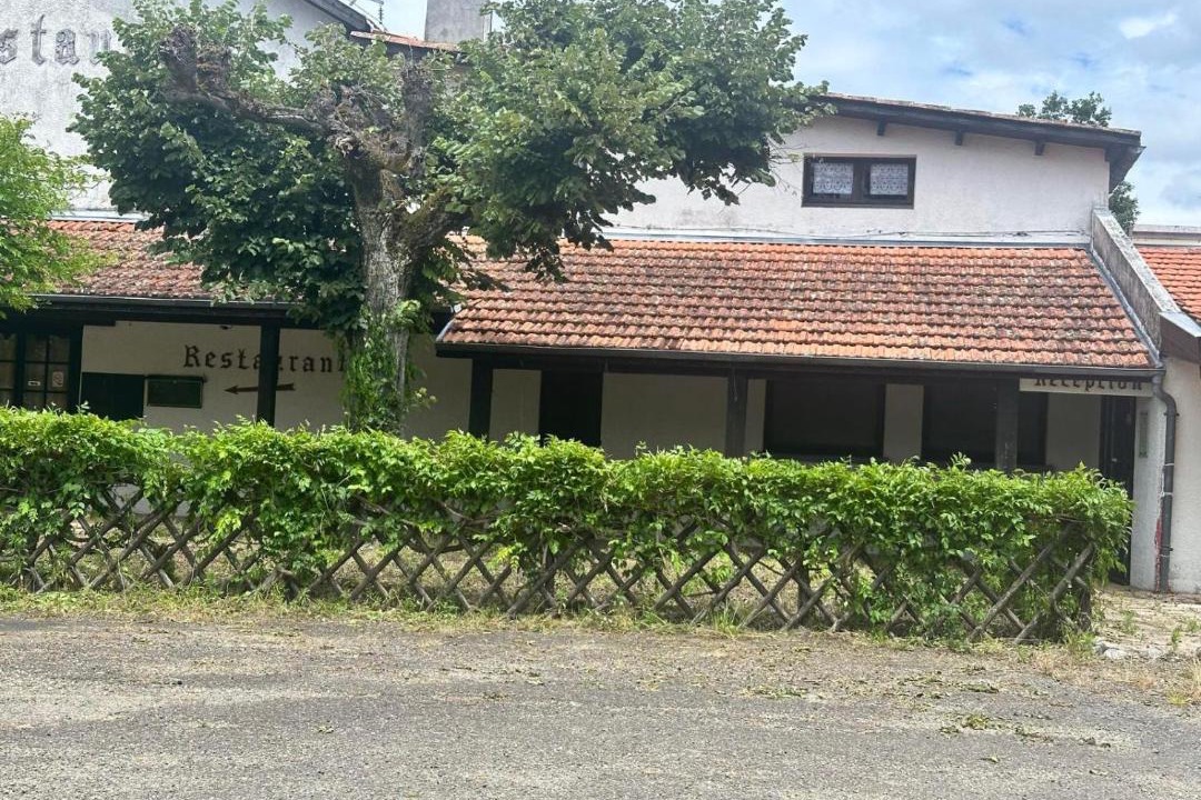 Photo of Others in Solferino