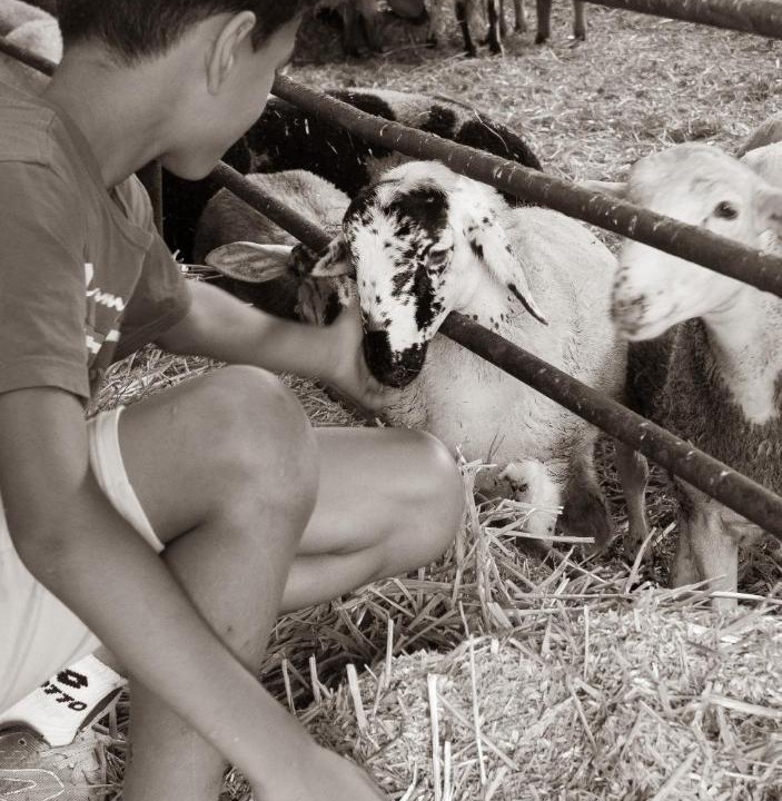 Photo of Human In Picture in Saint-Maurice-la-Clouere