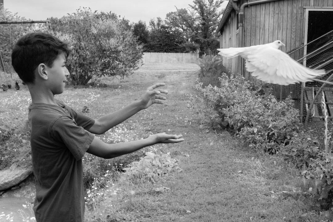 Photo of Human In Picture in Saint-Maurice-la-Clouere