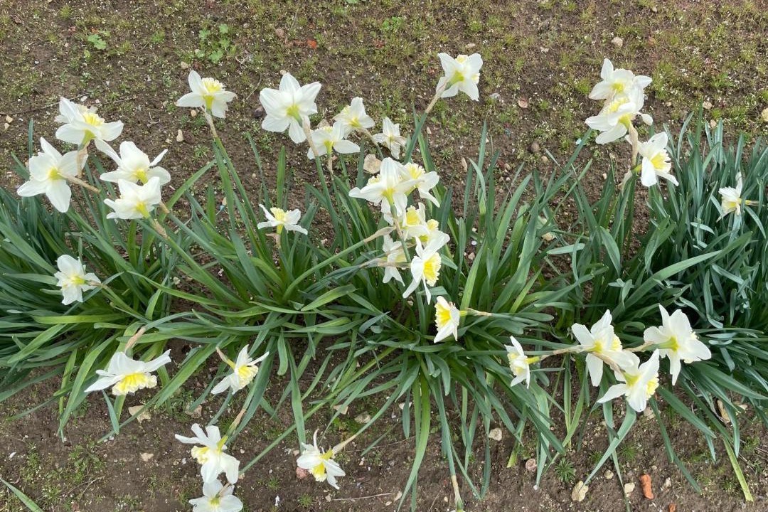 Photo of Outdoor in Pouant