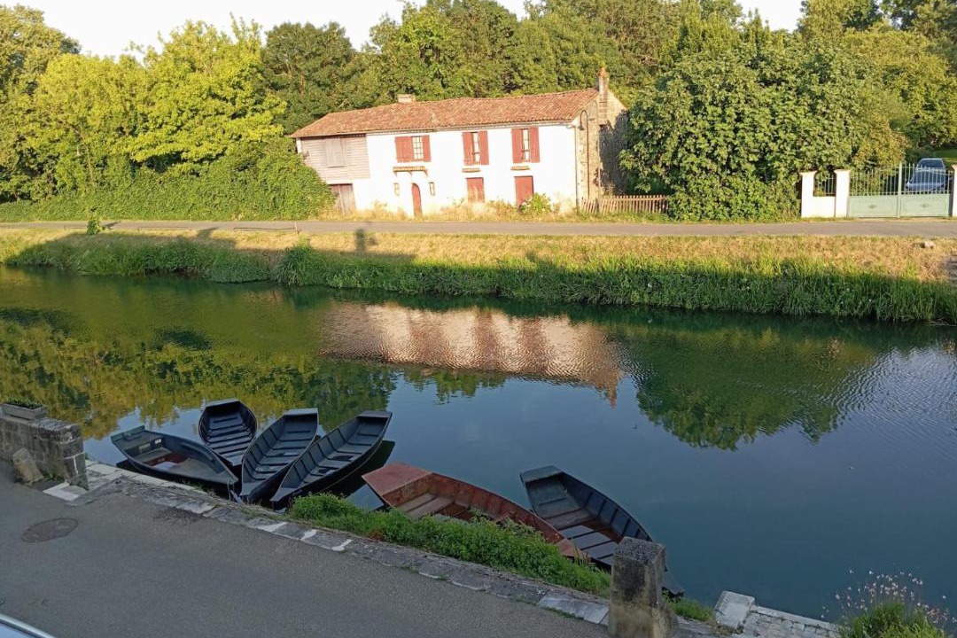 Photo of Others in Coulon