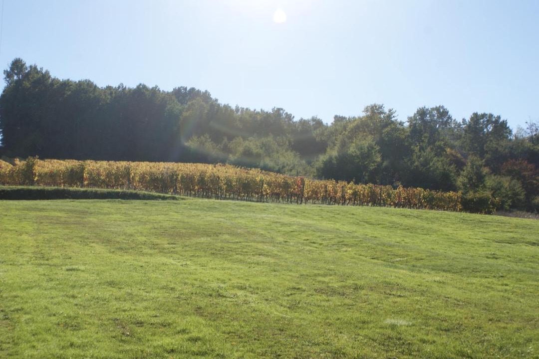 Photo of Outdoor in Castillon - Pujols Intercommunalite