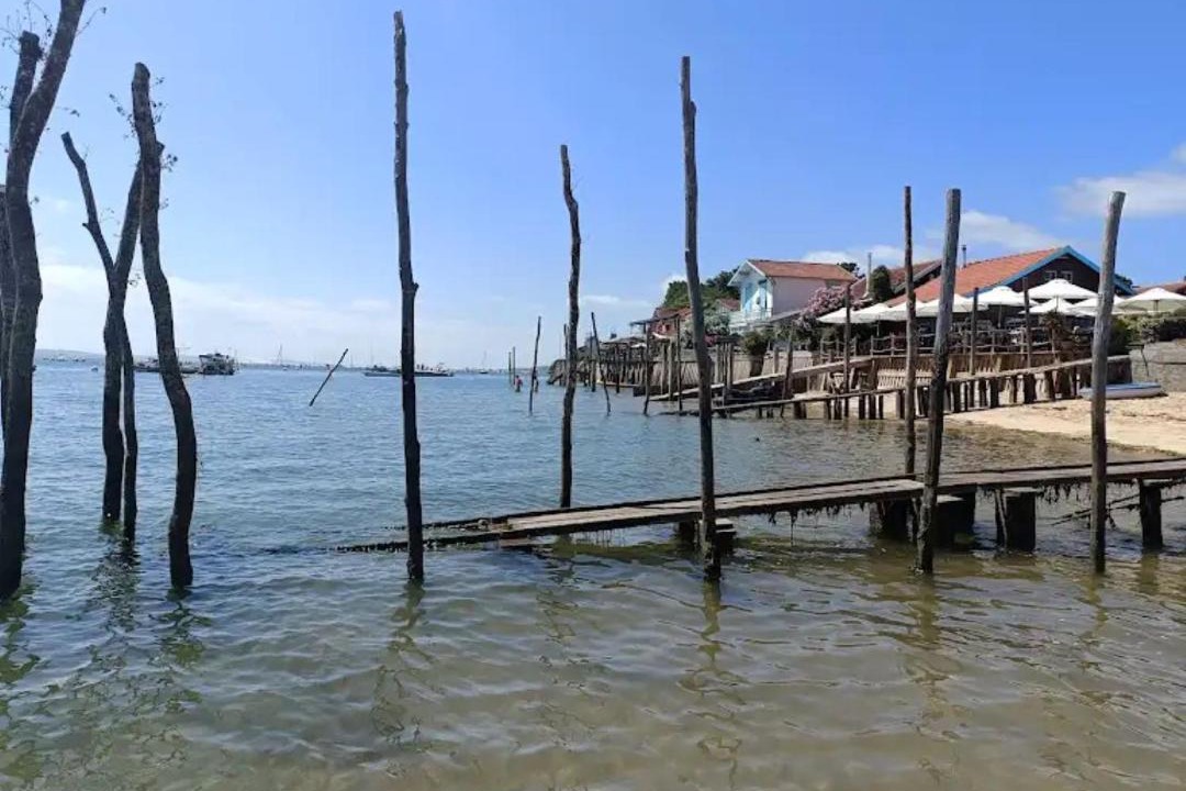 Photo of Others in Piraillan