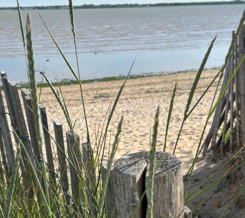 Photo of Others in Port-des-Barques