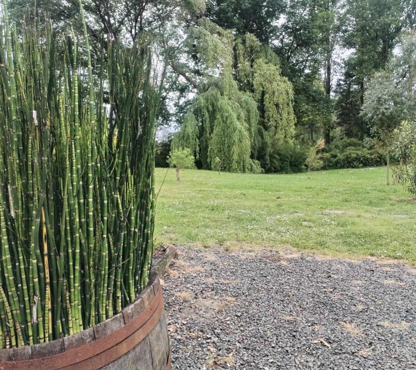 Photo of Outdoor in Candresse