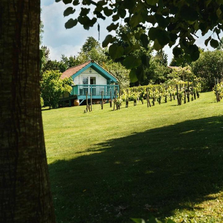 Photo of Others in Arcangues
