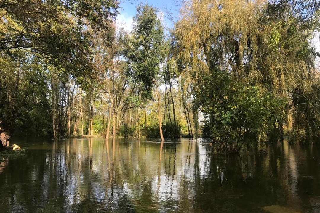 Photo of Outdoor in Mosnac