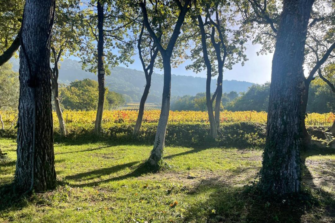 Photo of Outdoor in Sablet