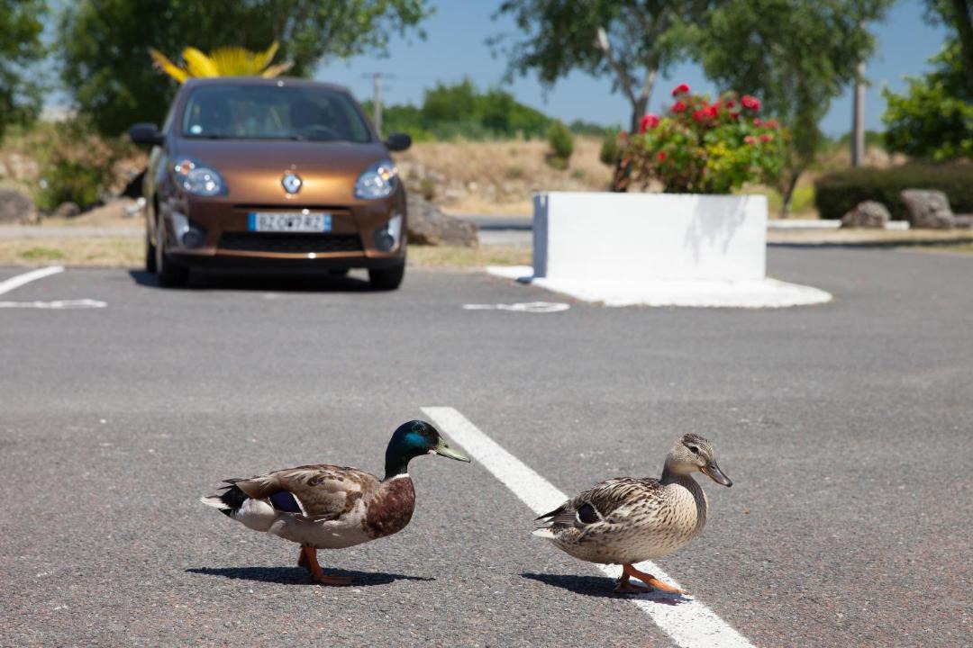 Photo of Others in Bordeaux-Lac