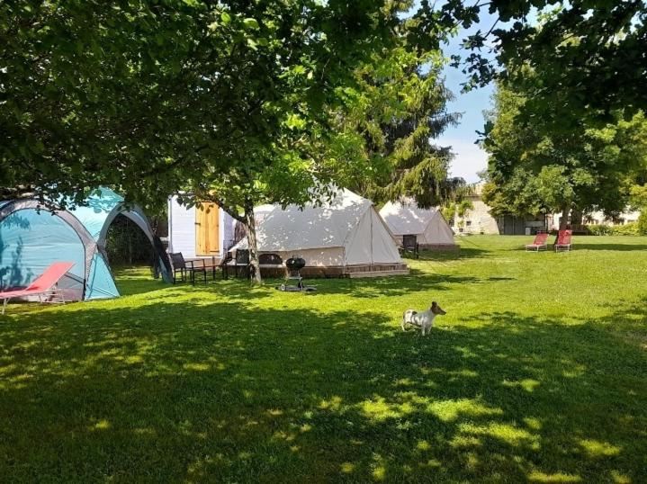 Photo of Others in Merignac