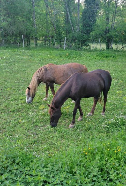 Photo of Others in La Rochebeaucourt-et-Argentine