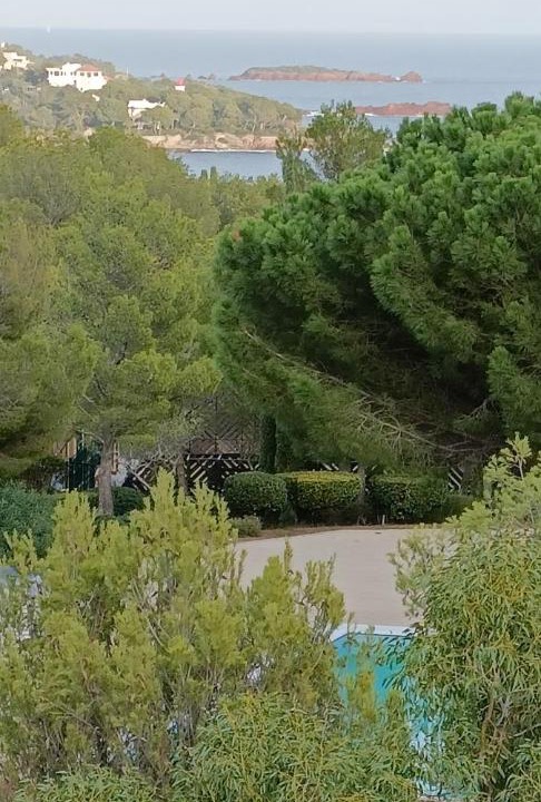 Photo of Outdoor in Le Dramont