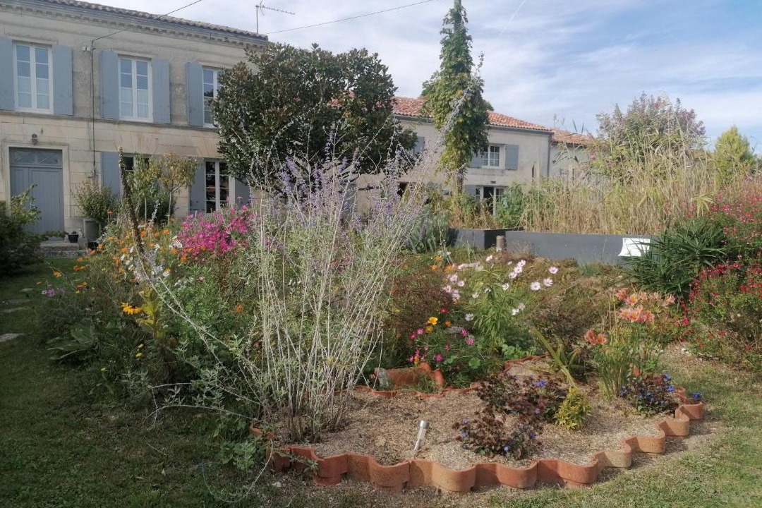 Photo of Others in Saintes Agglomeration