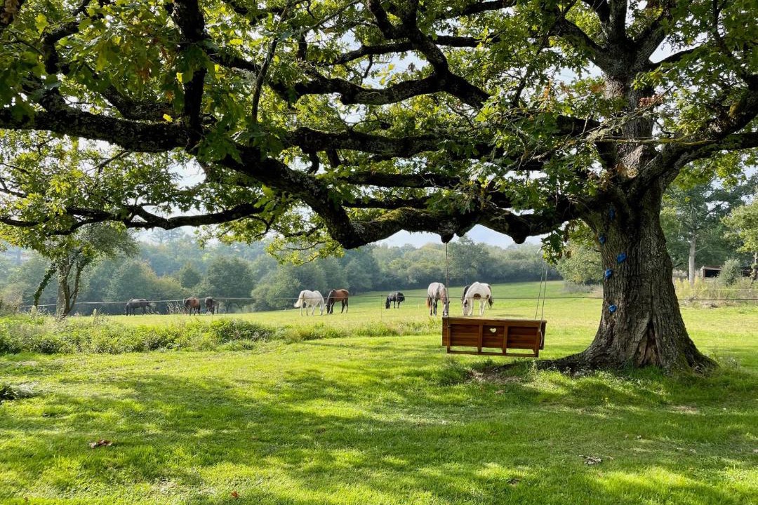 Photo of Outdoor in Malleret-Boussac