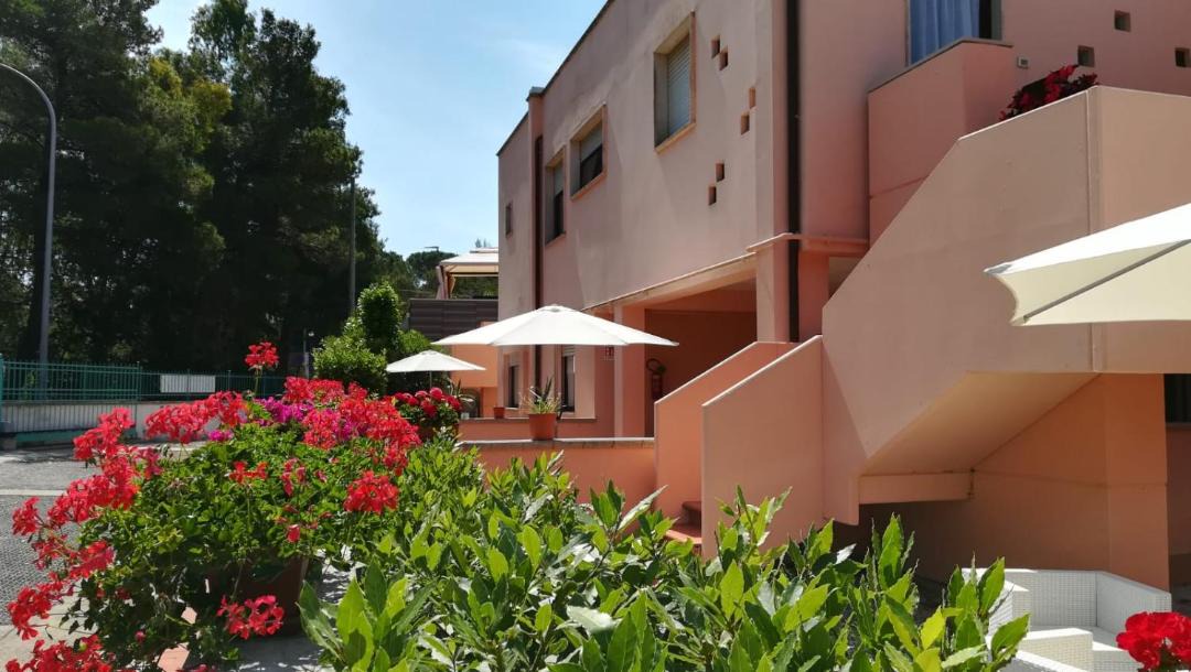 Photo of Others in Lido di Capoliveri