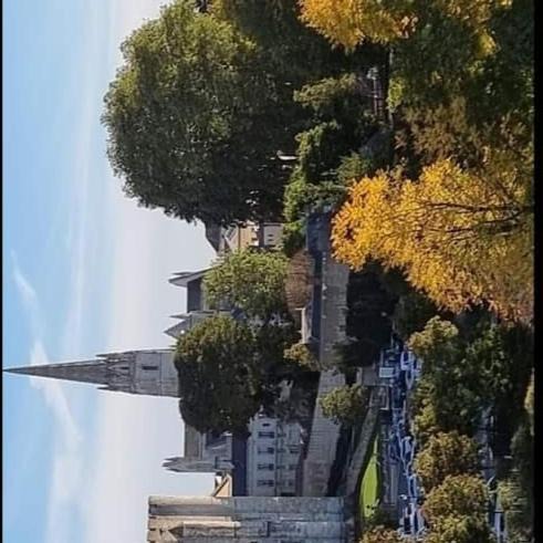 Photo of Others in Bagnault