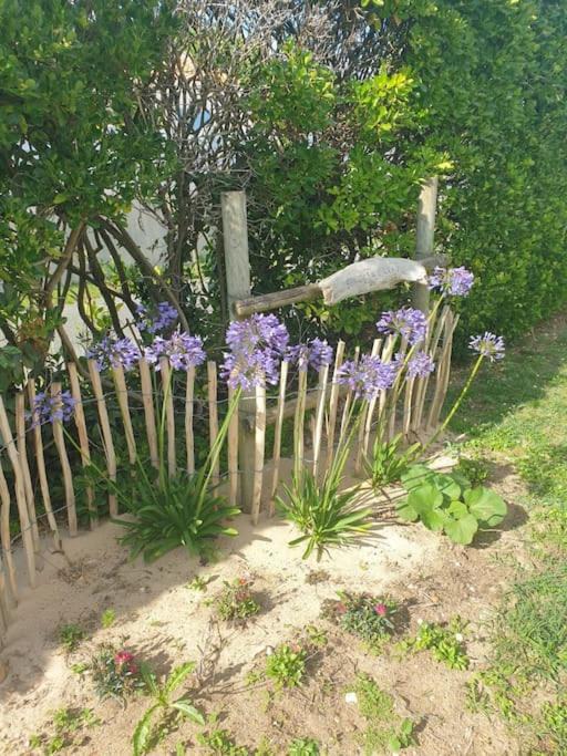 Photo of Others in Saint-Pierre-d'Oleron