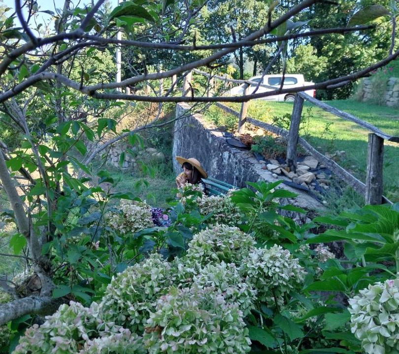 Photo of Others in Pescia