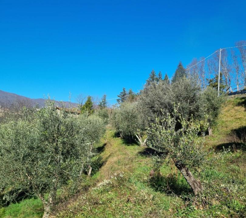 Photo of Others in Pescia