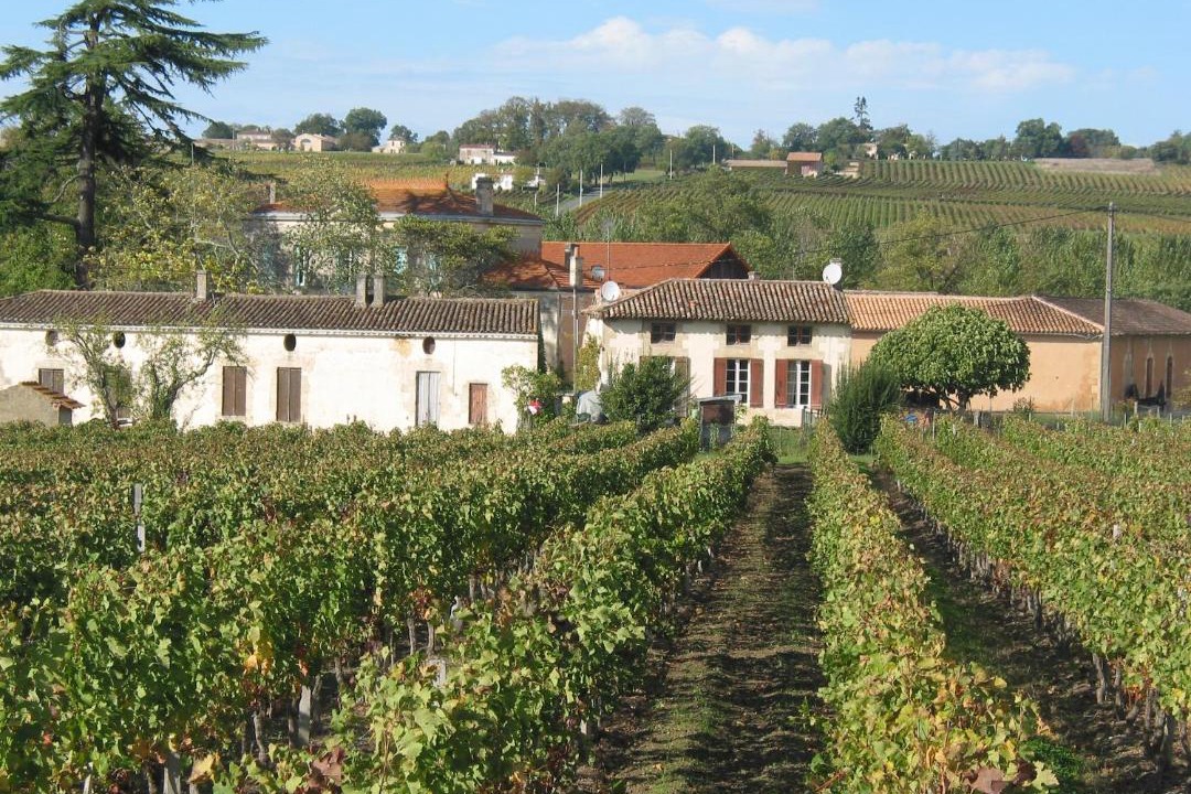 Photo of Buildings in Saint-Ciers-de-Canesse